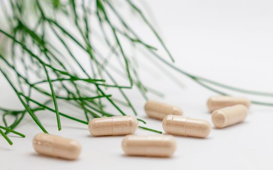Natural herbal supplement capsules with green leaves on a white background.